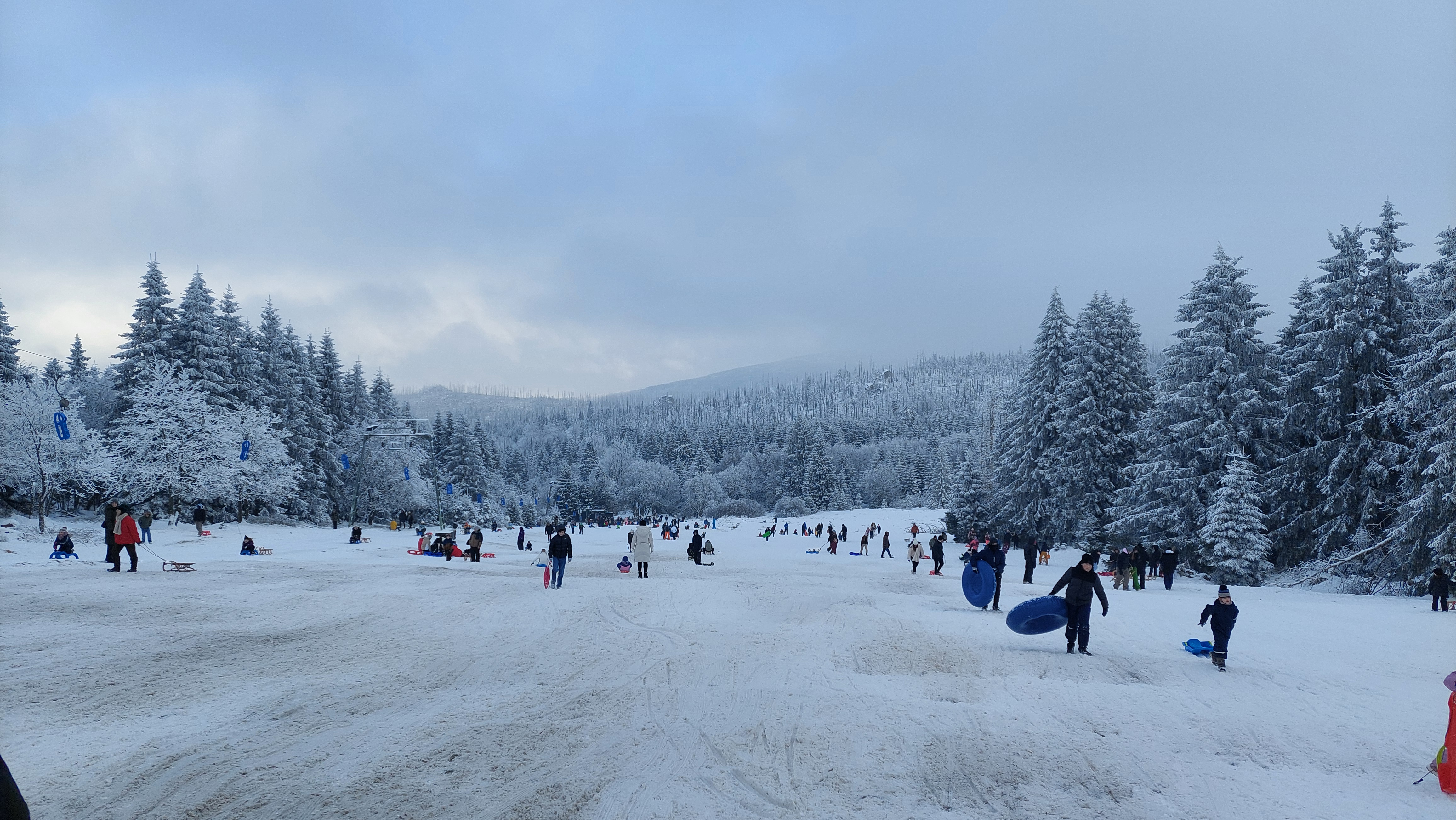 Rodelvergnügen in Torfhaus (mit Rodellift)